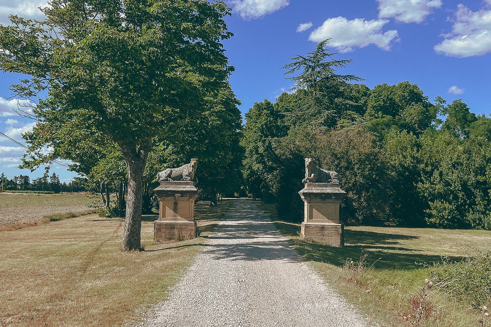 entree_chateau-les-taillades_vignobles-vellas.com_1600x1067px