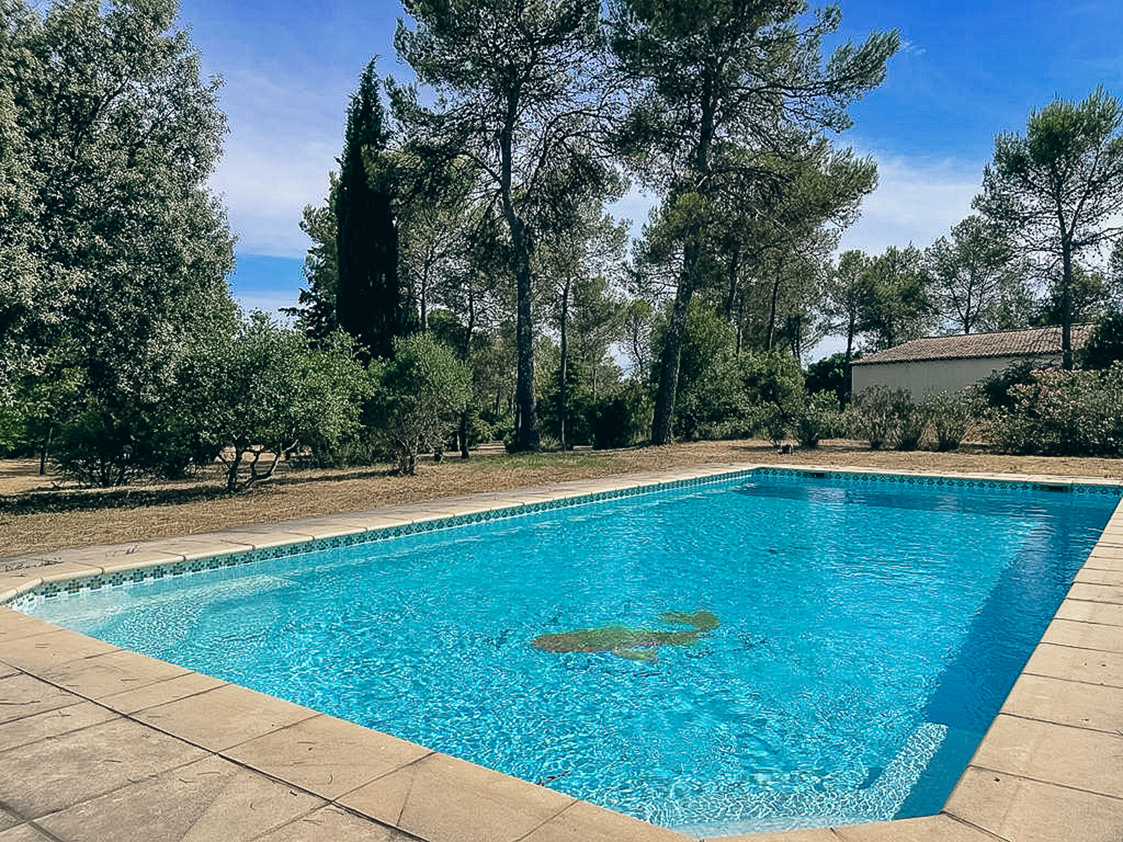 piscine_mas-de-mussen_vignobles-vellas.com_1600x1200_02