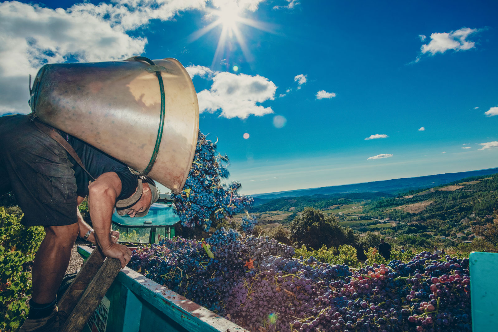 vendanges_chateau-furiosa_vignobles-vellas.com_1600x1067px_03
