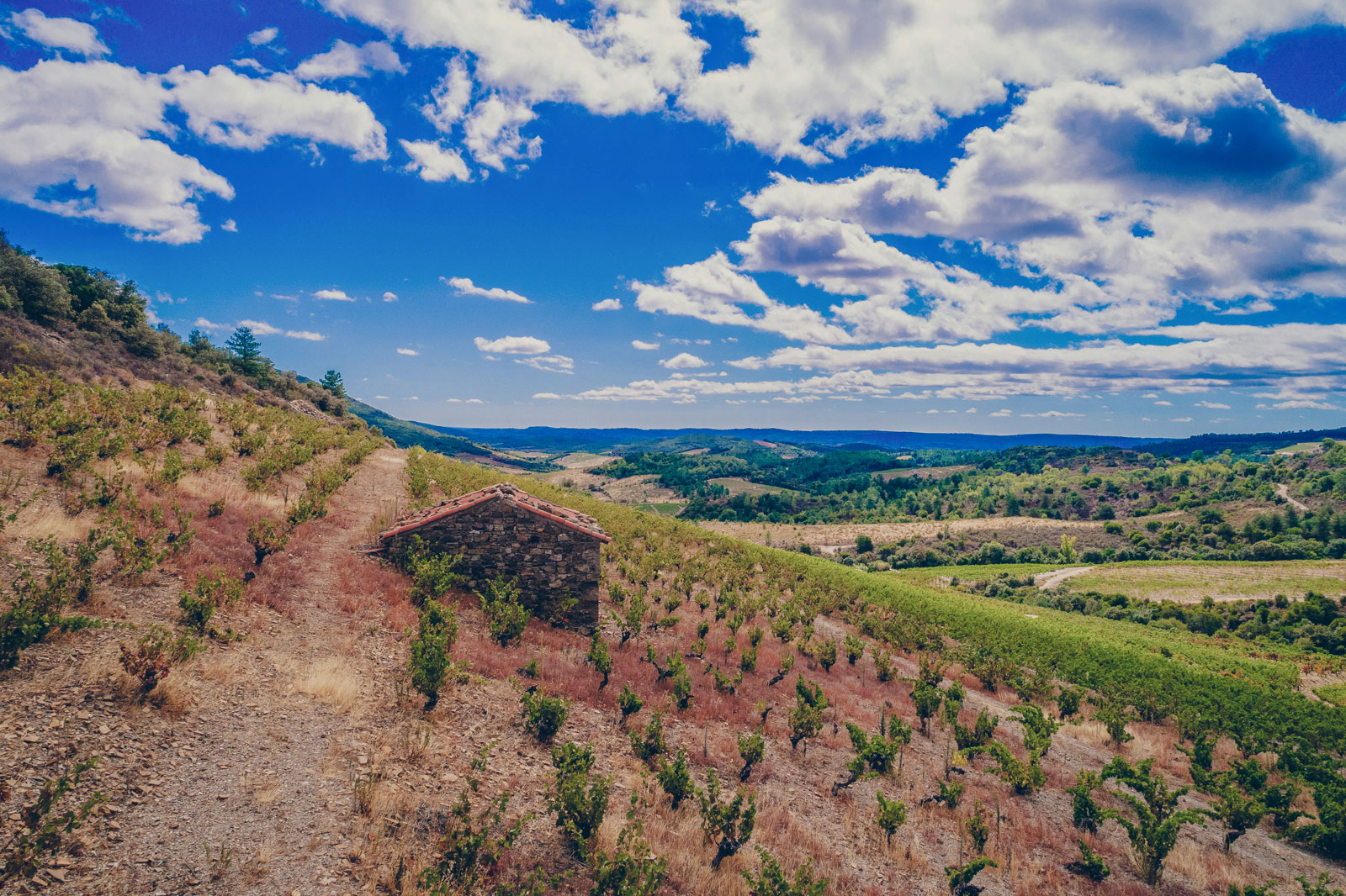 vignes-et-maison_chateau-furiosa_vignobles-vellas.com_1600x1066px