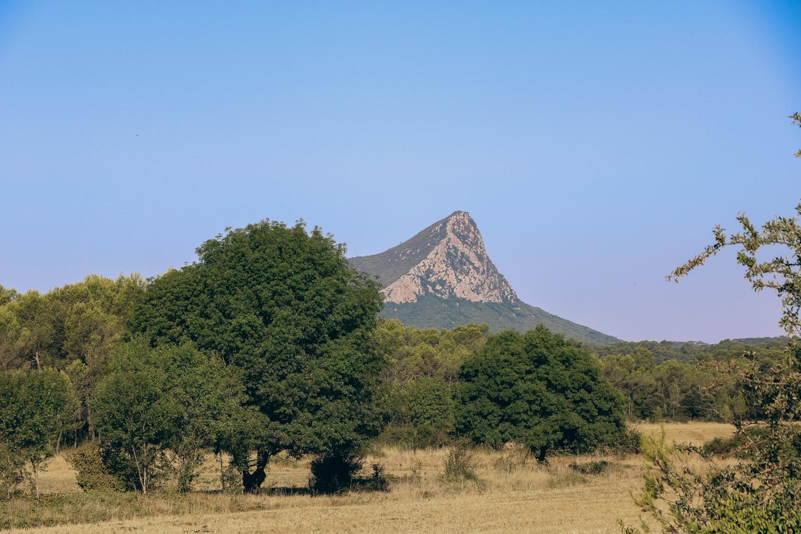vignes-et-pic-saint-loup_chateau-l-euziere_vignobles-vellas.com_1600x1067px_01