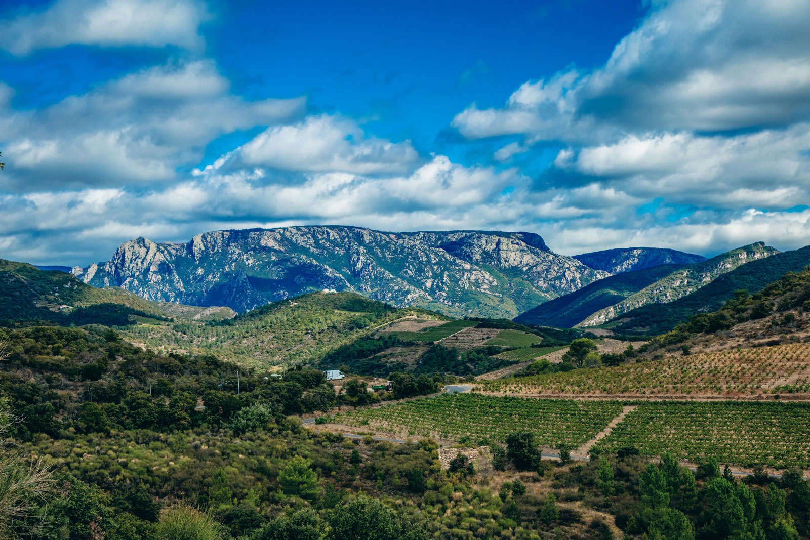 vignes_chateau-furiosa_vignobles-vellas.com_1600x1067px_14