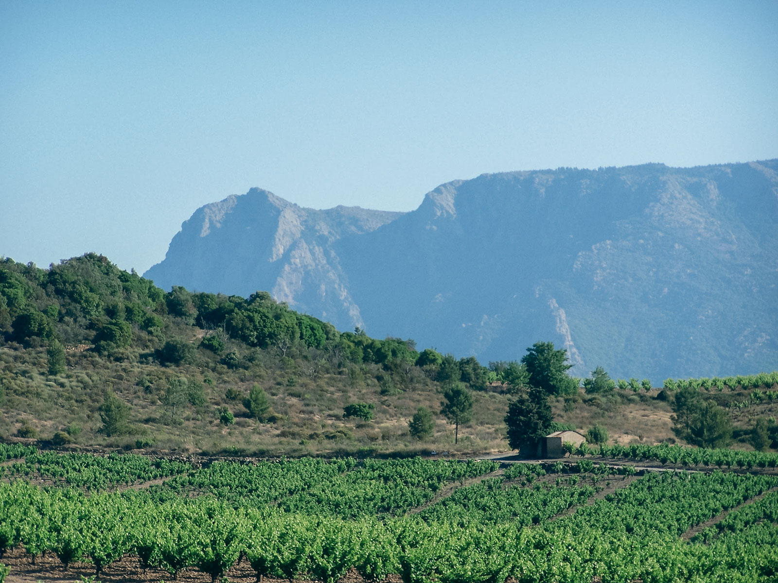 vignes_chateau-furiosa_vignobles-vellas.com_1600x1200px_06