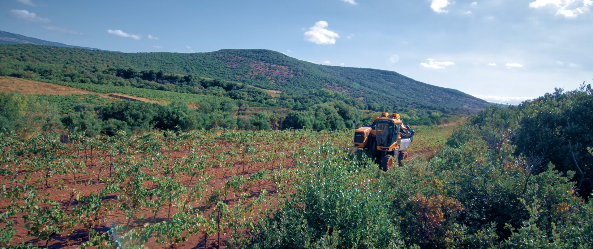 grand-blaquiere_tracteur_vignobles-vellas.com_1917x804px