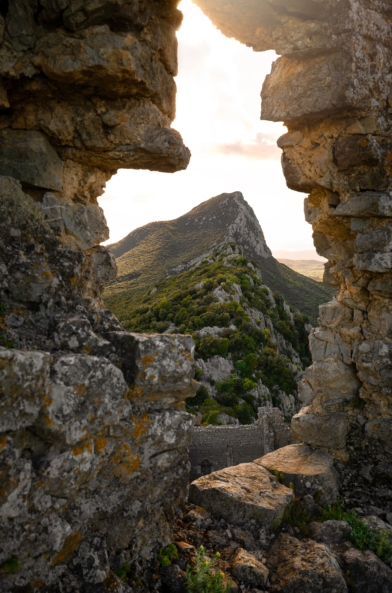 pic-saint-loup_mas-de-mussen_vignobles-vellas.com_1270x1920px_02