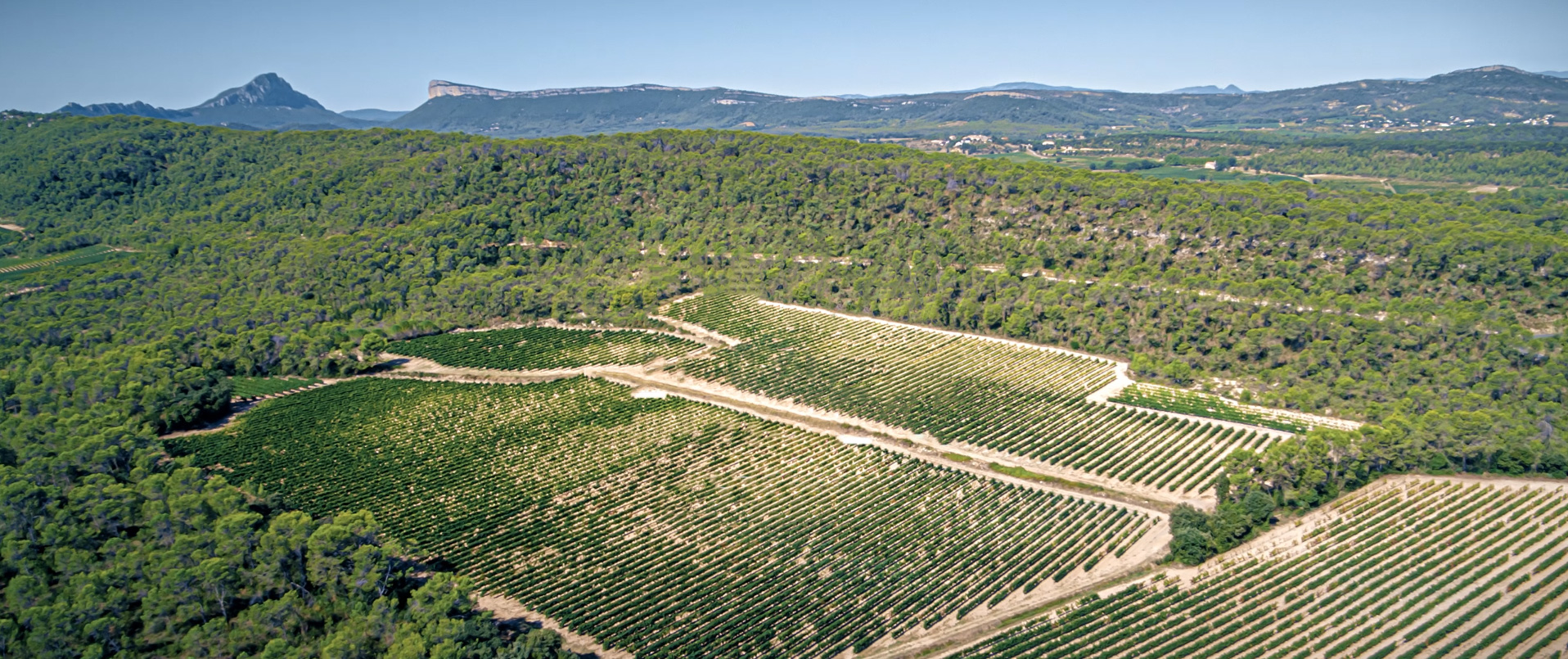 vue-aerienne_mas-de-mussen_vignobles-vellas.com_1916x805px