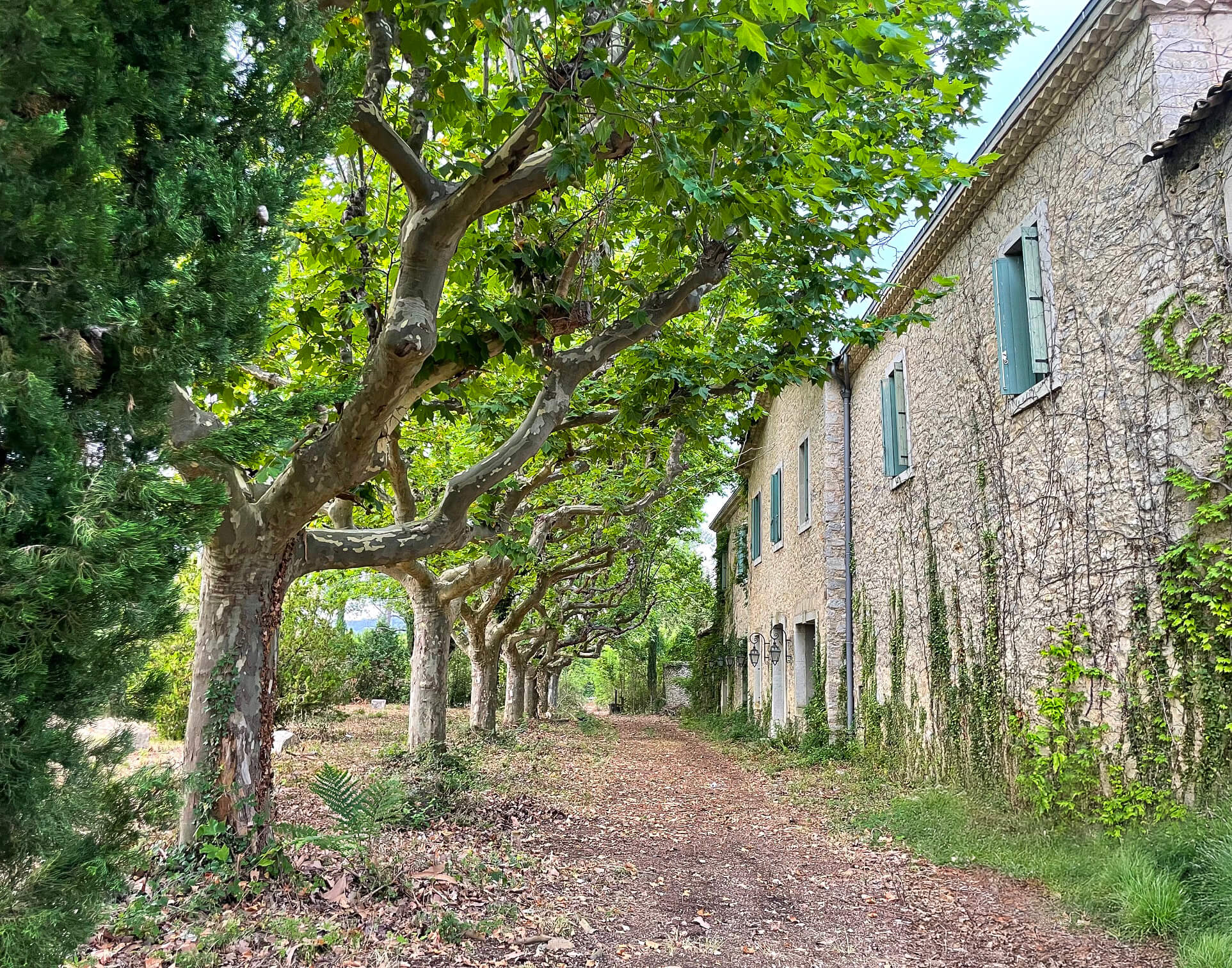 domaine garoloup-vue1