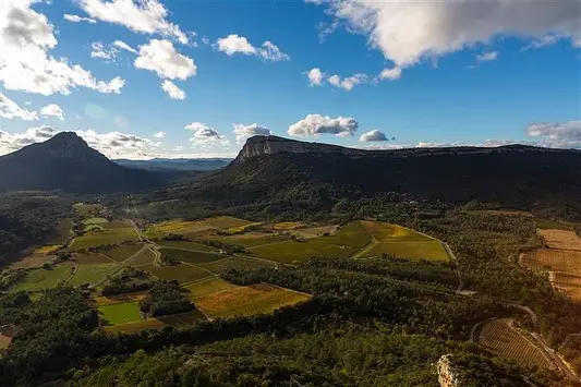 🌿 Au cœur des vignes, là où la magie commence... 🍇
Découvrez nos rangs de vignes baignés par le soleil, berceau de nos vins d’exception. Chaque grappe raconte une histoire, chaque feuille respire l’amour de la terre. 🍷✨

#Vignoble #PassionDuVin #VignesEnsoleillées #ArtisanDuVin